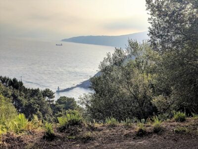 Ocean from a mountainside