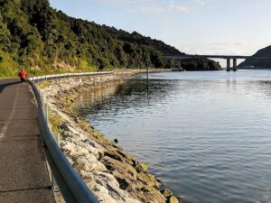 A jogger runs along the side of a road next to a river