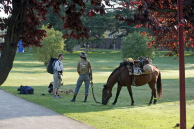 Ruminations on exercise include the difference between hiking el Camino and traveling it on horseback