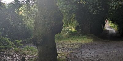 My Camino Day July 29 2023 included finding an ancient guardian of pilgrims young and old, still on duty, watching over his flock